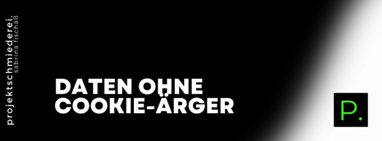 Google Search Console: die datenschutzfreundliche Alternative zu Google Analytics