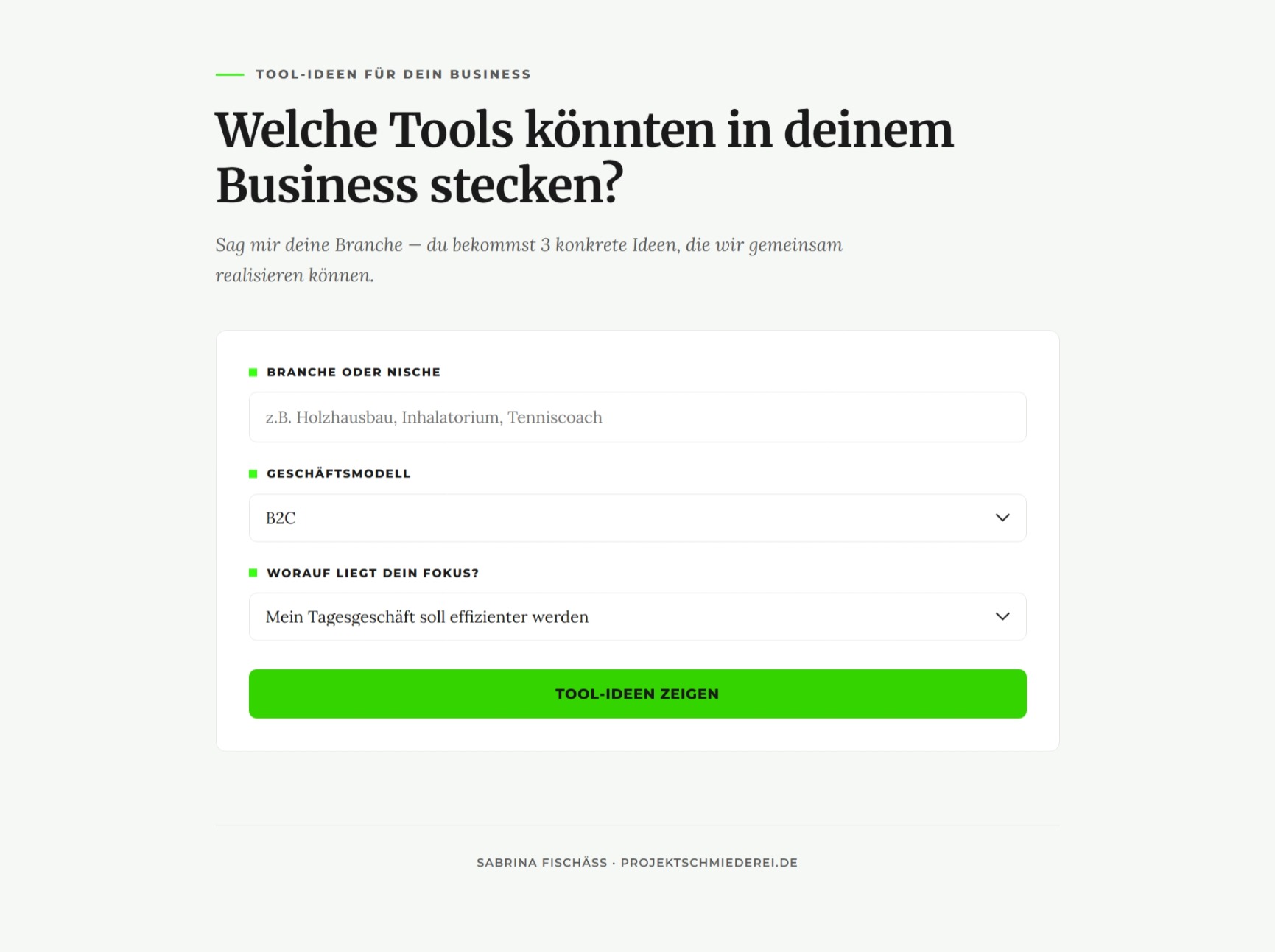 Der Ideengenerator: Eingabefelder für Branche, Geschäftsmodell und Fokus