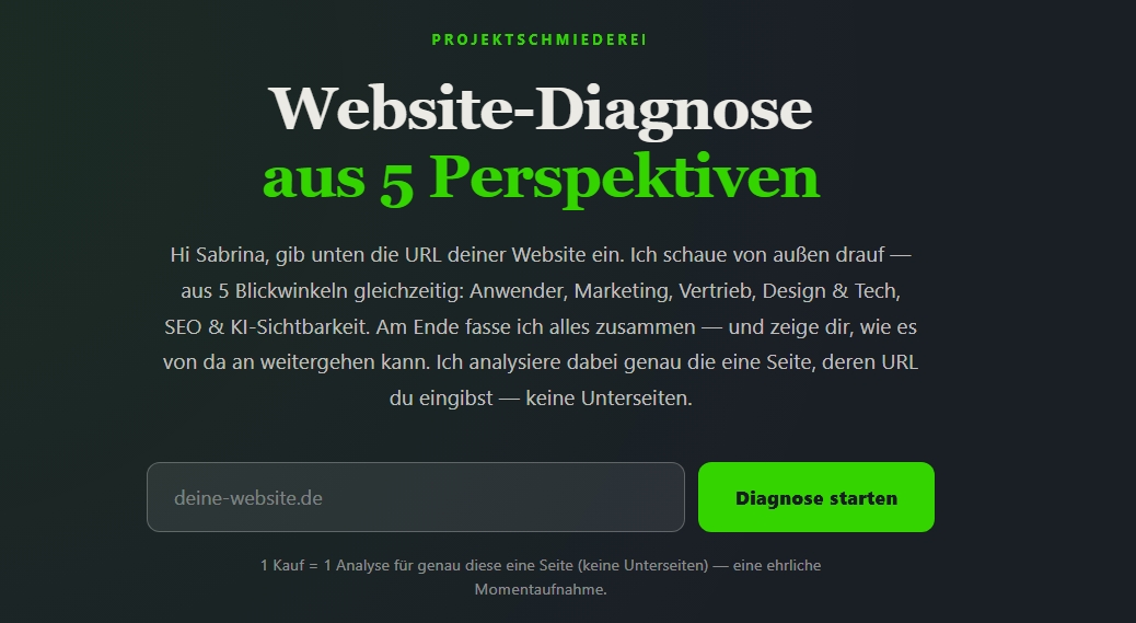 Eingabemaske der Website-Diagnose