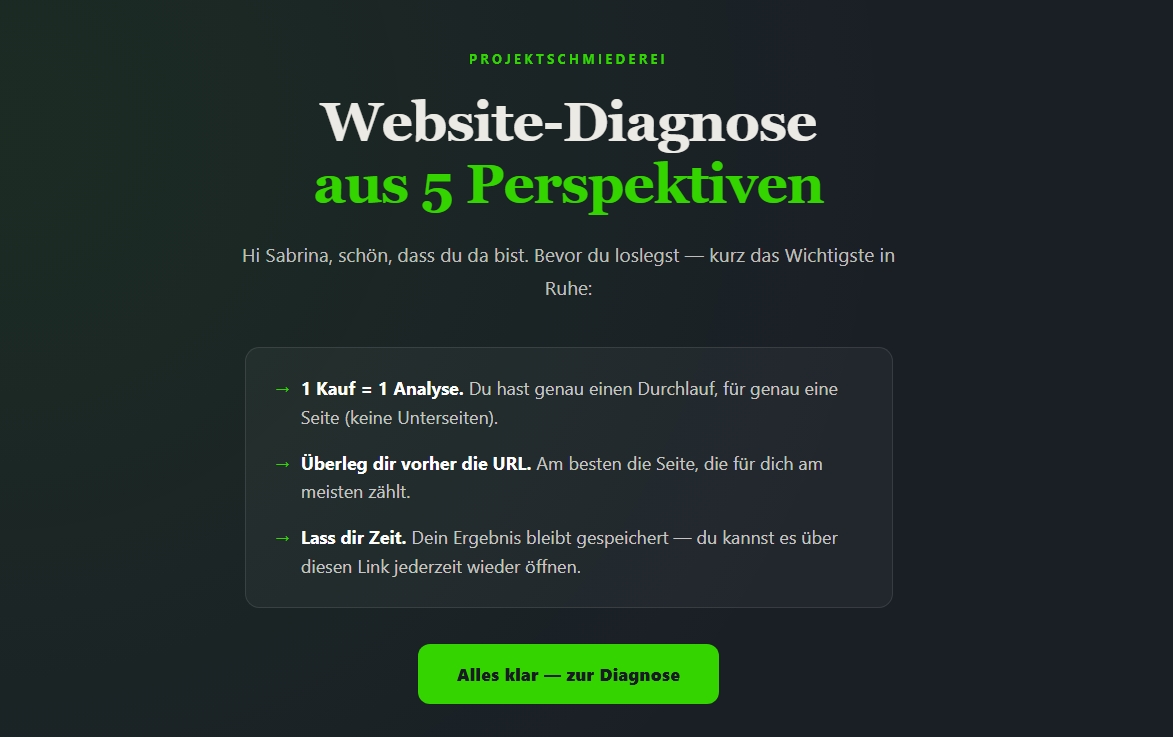 Startseite der Website-Diagnose nach dem Kauf