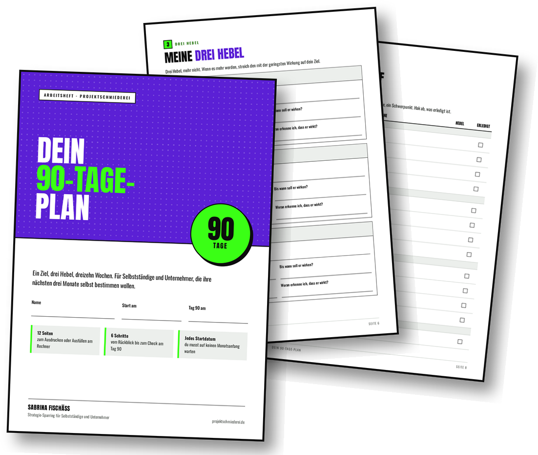 Vorschau: Titelblatt und zwei Innenseiten des 90-Tage-Plans
